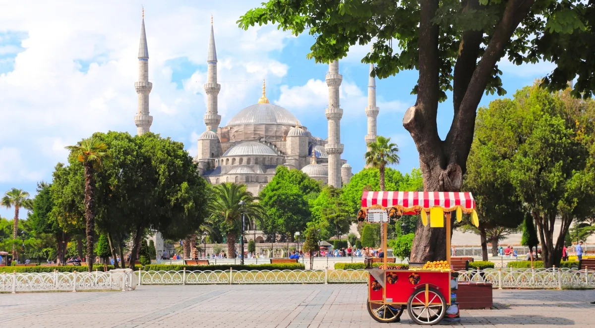 Explore Turkey: Istanbul to Cappadocia 5-Day Package (Group Tour) — photo 8