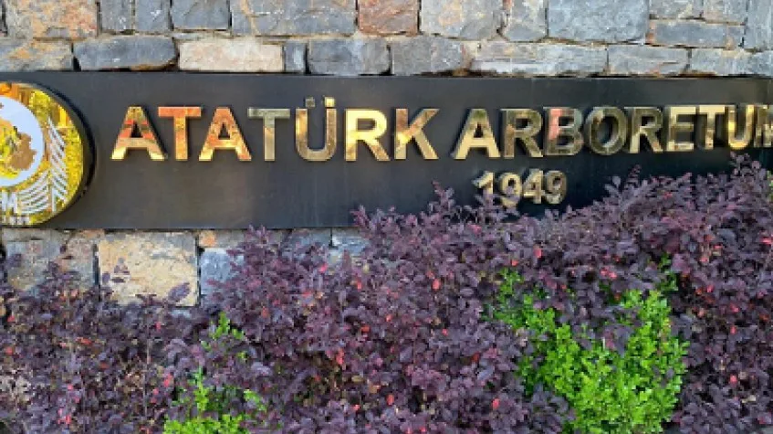 Full Day Nature Tour from Istanbul: Rumeli Fortress & Belgrad Forest — photo 3