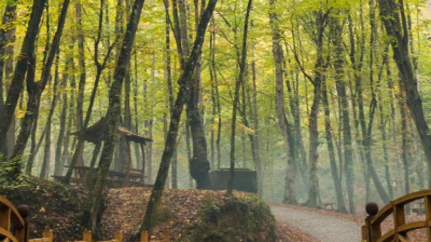 Full Day Nature Tour from Istanbul: Rumeli Fortress & Belgrad Forest — photo 4