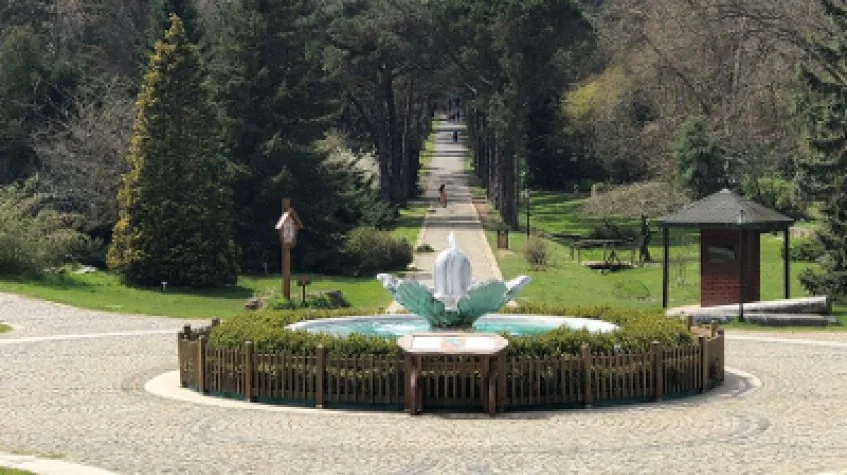 Full Day Nature Tour from Istanbul: Rumeli Fortress & Belgrad Forest — photo 6