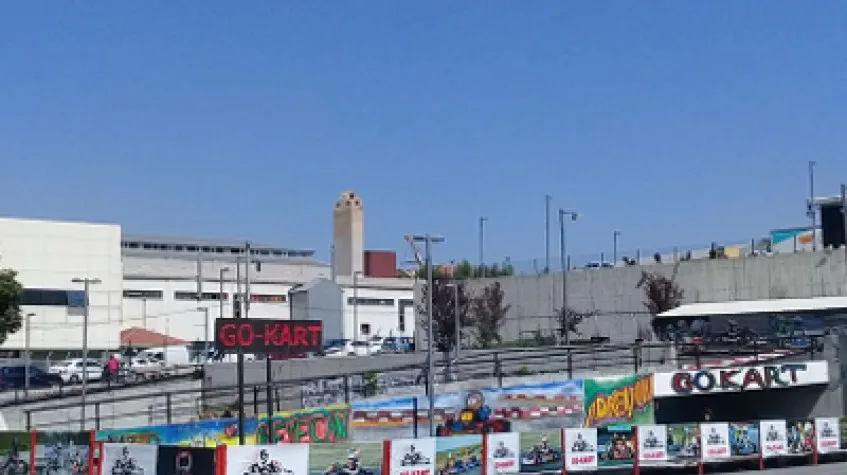 Gocard Race Daily Tour from Istanbul — photo 2
