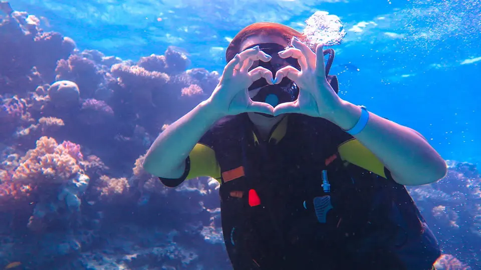 Diving Tour