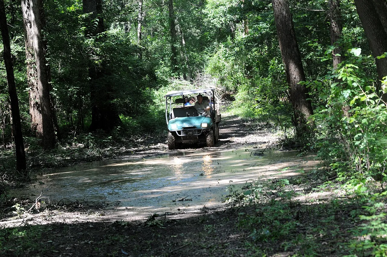 Half Day Buggy Safari Tour from Marmaris – Woods, Riverbeds & Mud Tracks — photo 10
