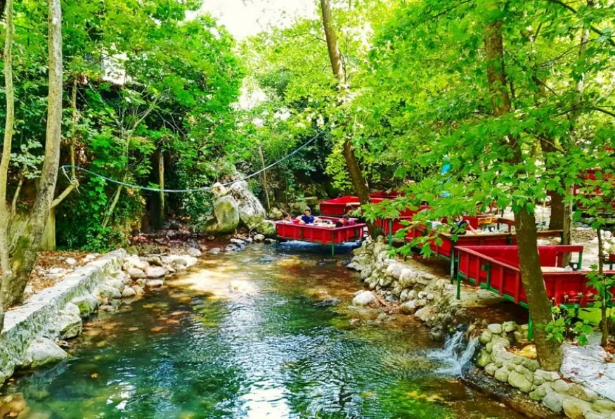 Half Day Ulupinar Trout Fishing & Picnic Tour from Kemer