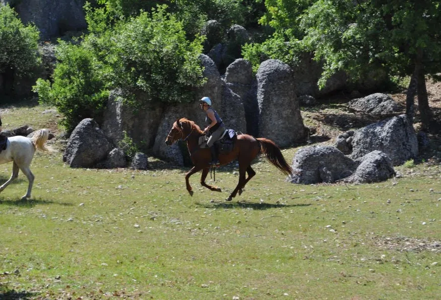 Antalya Beach Horse Riding Tour from Antalya – Golden Sands Ride