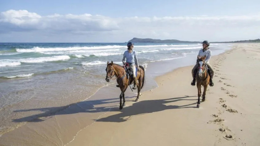 Antalya Beach Horse Riding Tour from Antalya – Golden Sands Ride — photo 2