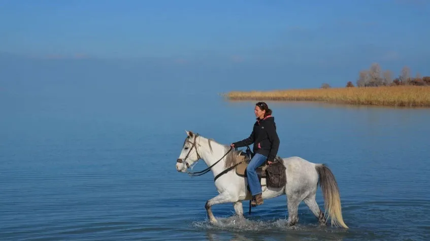 Antalya Beach Horse Riding Tour from Antalya – Golden Sands Ride — photo 3