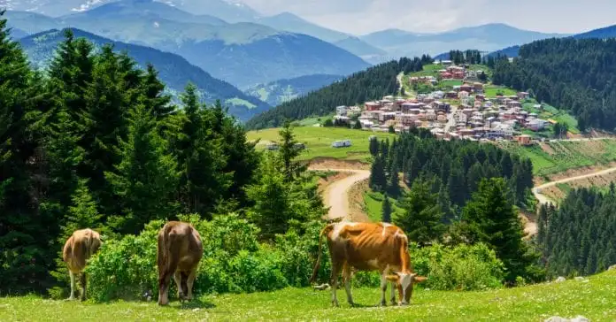 3 Days Samsun, Ordu & Giresun Private Tour from Trabzon — photo 15