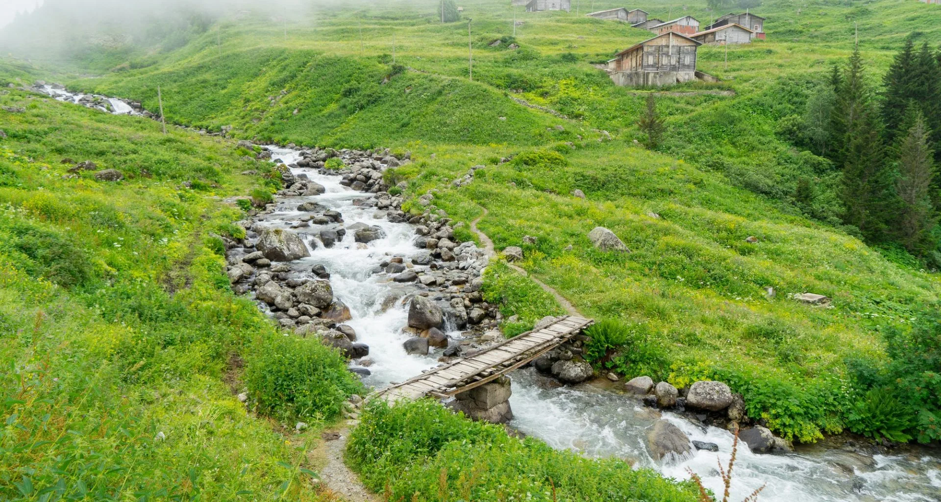 7 Days Black Sea & Northeast Turkey Private Tour — photo 10