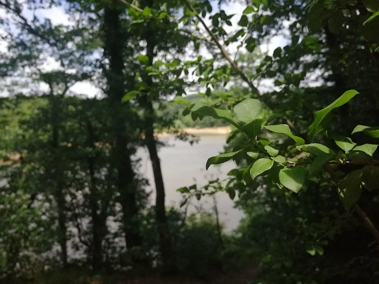 Belgrad Forest Hiking Day Trip from Istanbul – Lakes & Ottoman Aqueducts — photo 3
