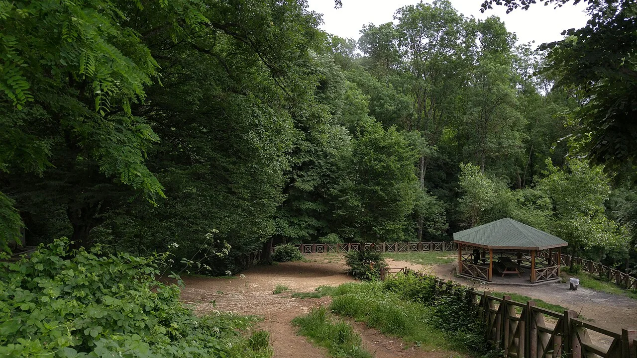 Belgrad Forest Hiking Day Trip from Istanbul – Lakes & Ottoman Aqueducts — photo 6
