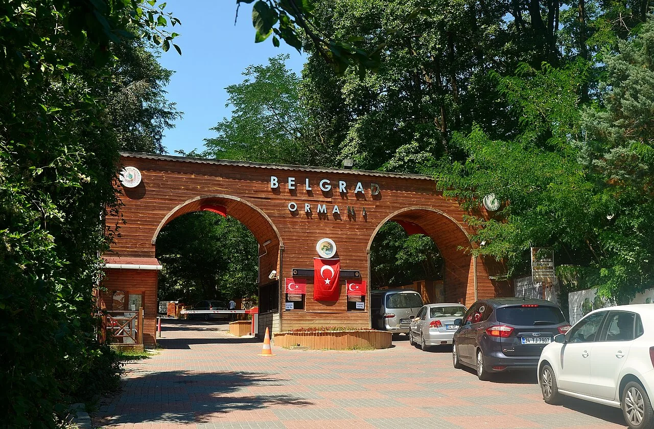 Belgrad Forest Hiking Day Trip from Istanbul – Lakes & Ottoman Aqueducts — photo 7