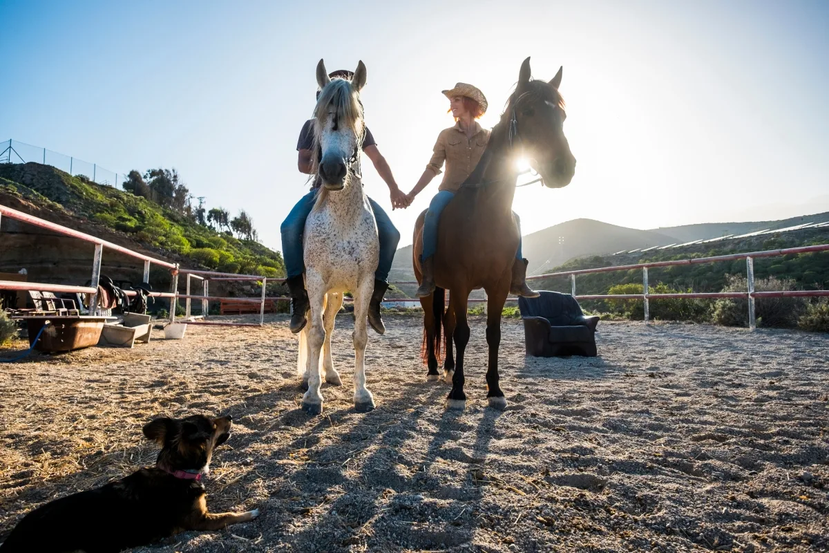 Istanbul Horse Safari Day Tour (Shared)