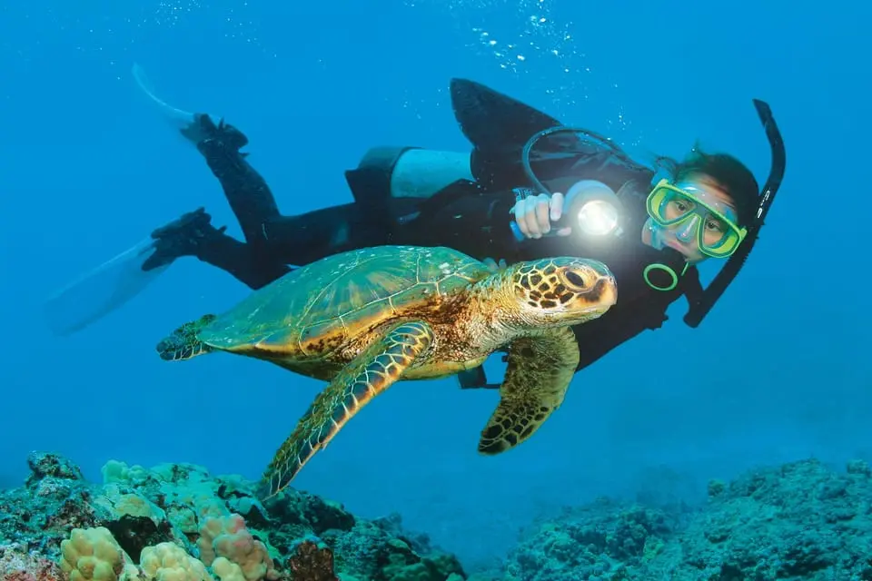 Diving Tour