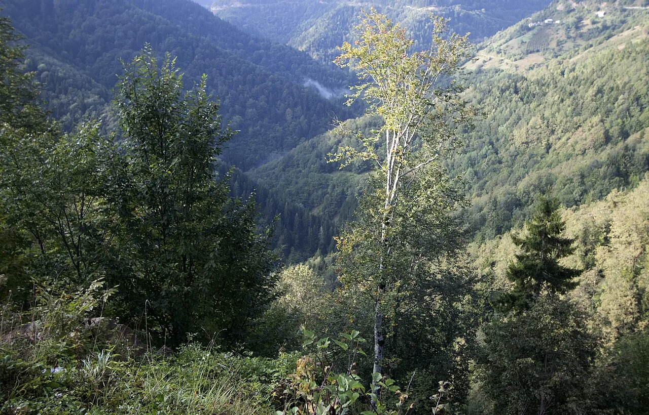 Mavigöl (Blue Lake) & Kümbet Plateau Tour from Trabzon — photo 10