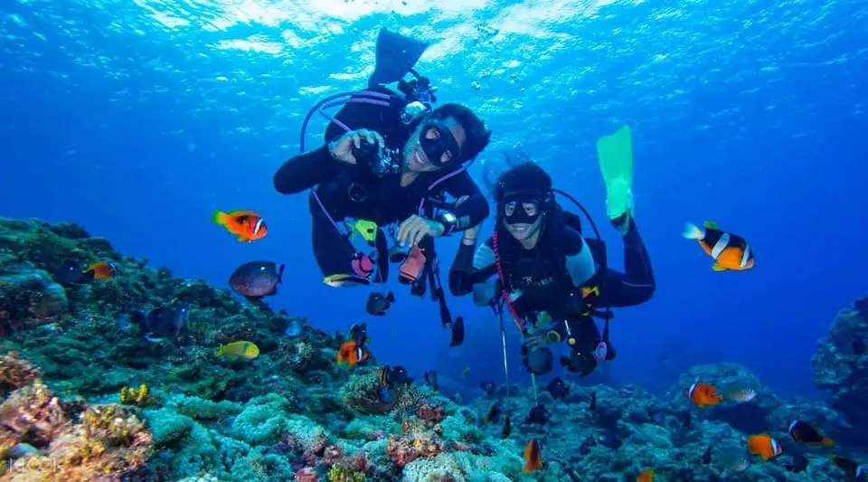 Diving Tour