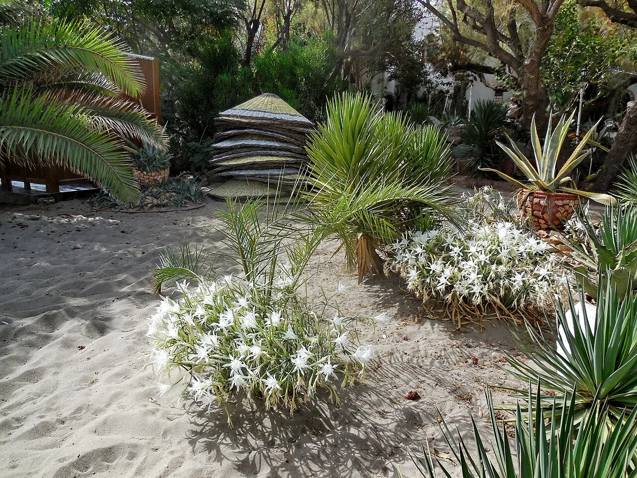 One Day in Bodrum (Shared) — photo 8