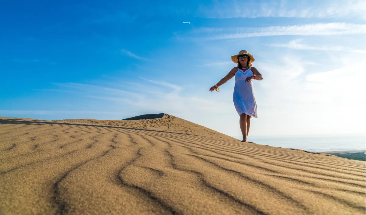 Patara, Letoon & Xanthos Ancient Cities Day Tour (Shared)