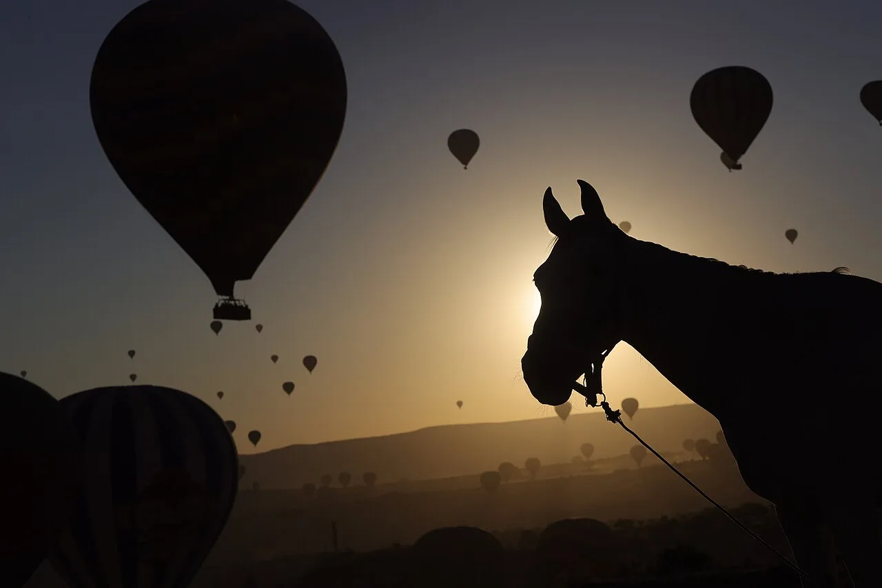 Cappadocia Sunrise or Sunset Photo Shoot from Cappadocia – Golden Hour