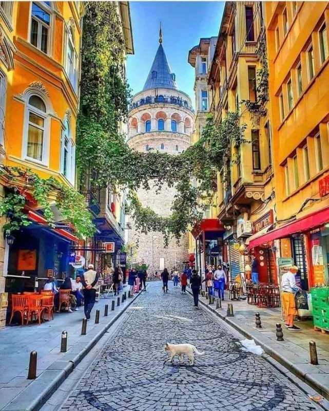 Synagogue, Mosque and Church Walking Tour from Istanbul