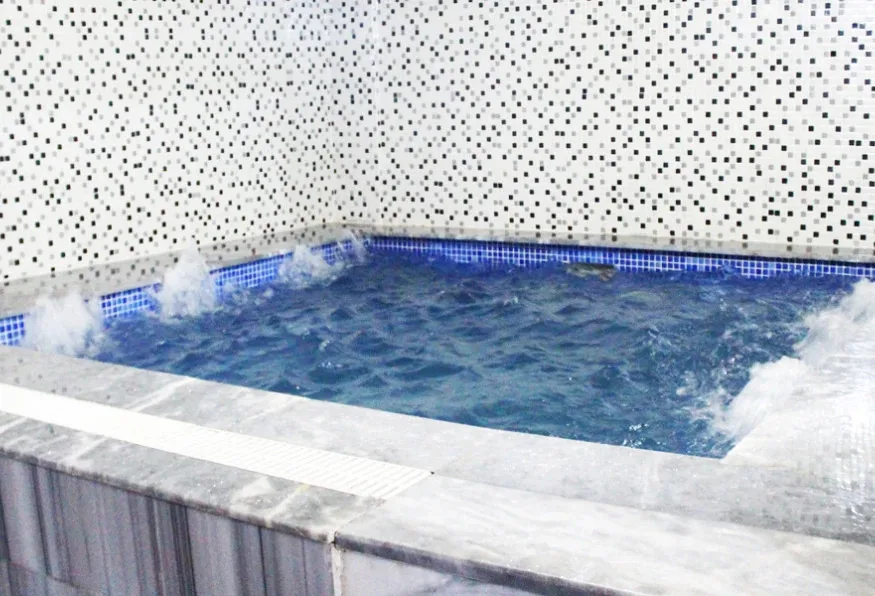 Turkish Bath (Hamam) Day Tour in Yalova – Traditional Spa Experience (Shared) — photo 4