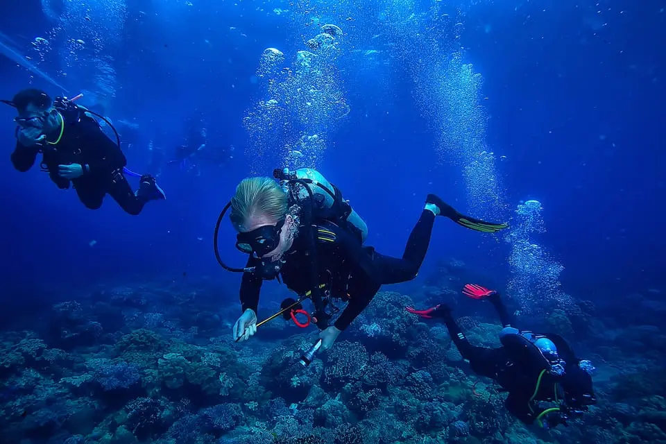 Diving Tour