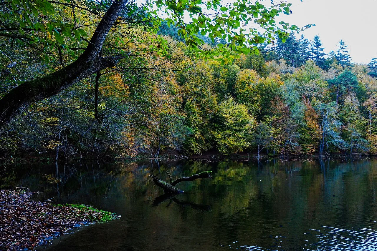 Yedigoller National Park Day Trip from Ankara – Seven Lakes Nature Walk — photo 7