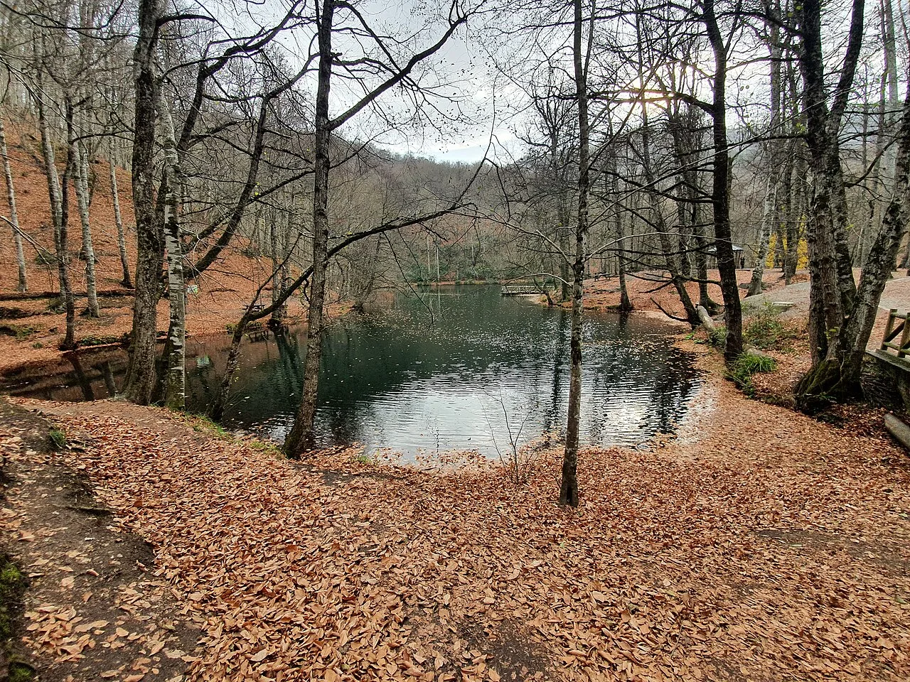 Yedigoller National Park Day Trip from Ankara – Seven Lakes Nature Walk — photo 10