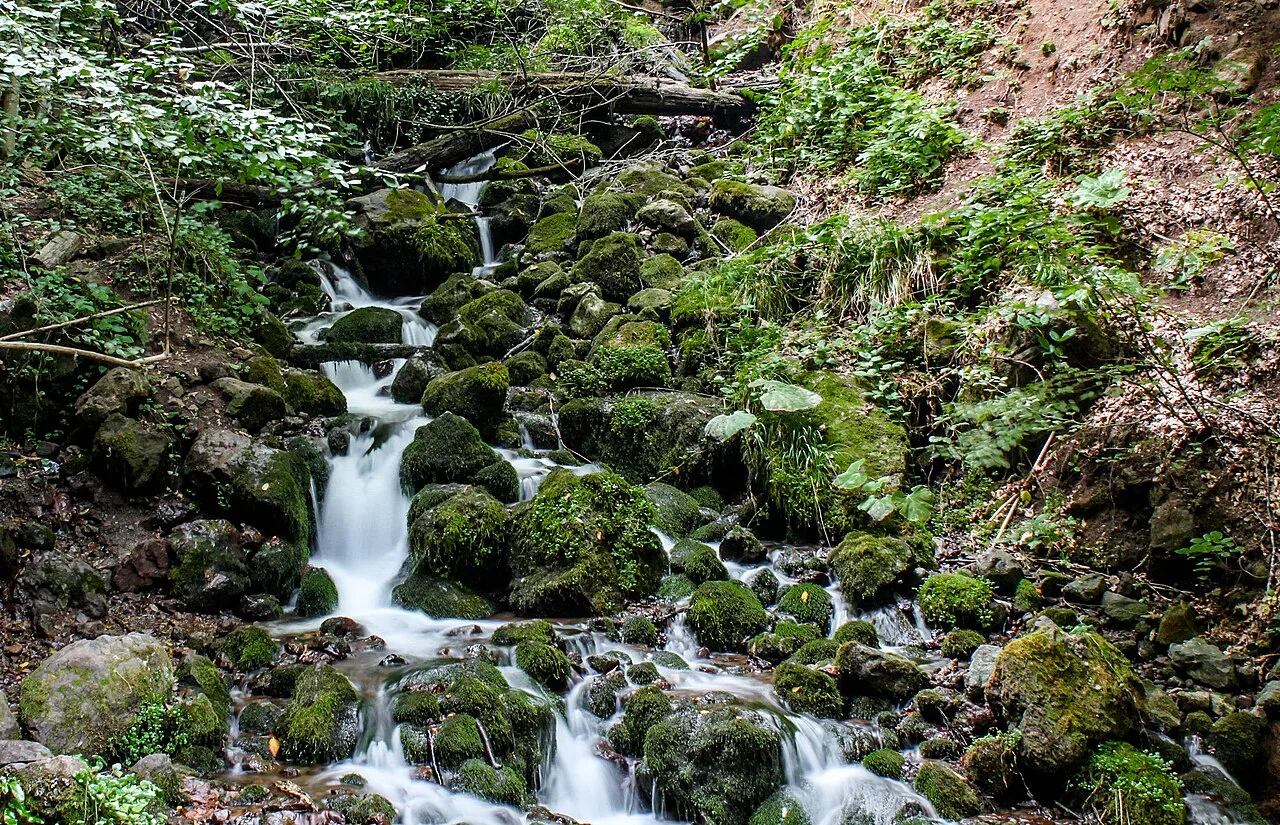 Yedigoller National Park Day Trip from Ankara – Seven Lakes Nature Walk — photo 11